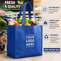 Sac fourre-tout réutilisable en non-tissé avec logo personnalisé, marque OEM, sac de shopping écologique avec impression sérigraphique, article promotionnel avec poignées