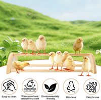 Perchoir en bois JQ pour poussins, barre de perchoir robuste pour poulets, idéal pour l'élevage des poussins