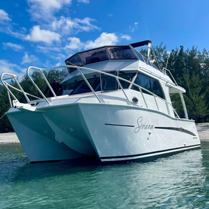 9M 30ft nhôm offshore tốc độ niềm vui giải trí điện du thuyền thể thao thuyền đánh cá <span class=keywords><strong>Catamaran</strong></span> để bán - Product Image 2