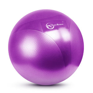 Pelota de Yoga Anti-Explosión Multicolor con Bomba Rápida, Precio de Fábrica Zhensheng - Product Image 4