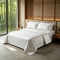 Parure de lit en satin rayé pour hôtel, 100% coton, 300 fils/cm², ensemble de housse de couette de luxe, ensemble de draps pour lit king size et queen size