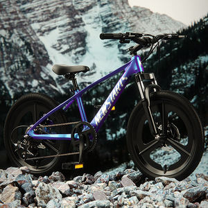 Vélo pour enfants à hauteur réglable, 18-24 pouces, cadre léger en alliage de magnésium pour adolescents - Product Image 4