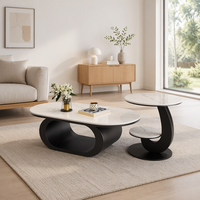 Table basse en métal moderne, durable et décorative avec rangement pour salon, petite famille, minimaliste, créative, de forme ovale