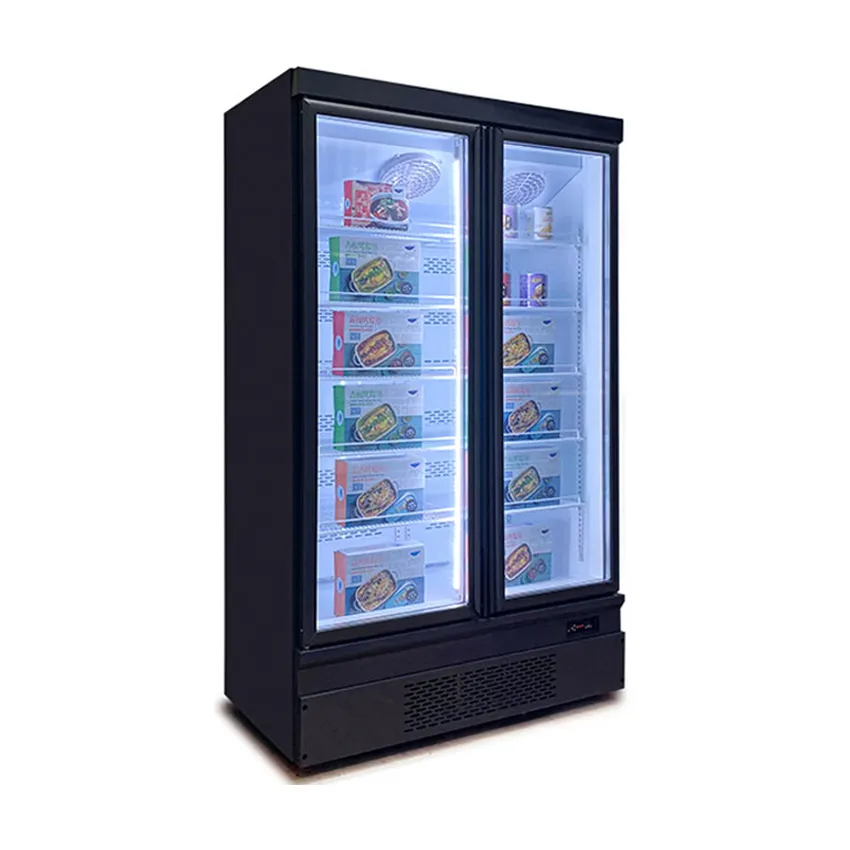 Congelador comercial de 2 puertas Mariscos/Pastelería/Deli Nevera Vitrina Refrigerador Equipo de restaurante