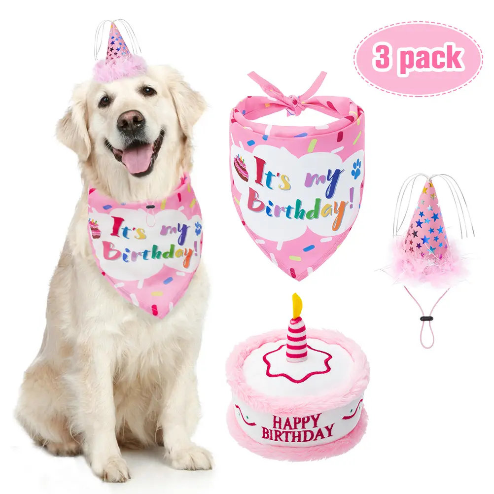 Chapeau Bandana pour animal de compagnie, écharpe pour fête d'anniversaire, en forme de gâteau, pour chien, chat, chien, 1 pièce