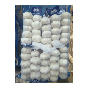 Compre ajo de paquete pequeño de Tianqin, venta al por mayor, ajo normal, ajo blanco puro, al mercado de exportación Dubái - Product Image 2