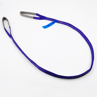 Eslinga de elevación de poliéster de alta tenacidad, 1 tonelada, 25 mm x 1 m-12 m, cinta plana morada, factor de seguridad 4:1 5:1 6:1 7:1, CE GS TUV
