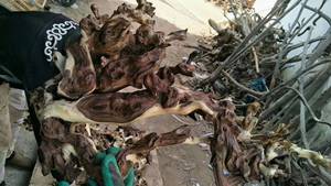 Decorações de Aquário em Madeira Flutuante Aqua Root para Tanque de Peixes - Product Image 6