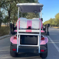 Pièces de voiturette de golf électrique 48V 120A couleur rose 4 places avec batterie au lithium, kits de carrosserie pour buggy de golf et dune buggy
