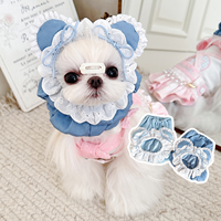 Animal de compagnie chat chien Anti-sale dentelle garniture couvre-chef mignon Bichon frisé couvre-chef Photo drôle
