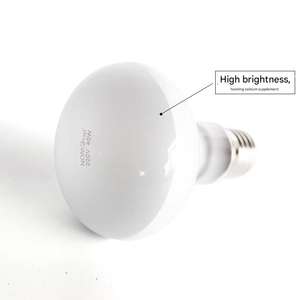 Lampe UV pour reptiles à longue durée de vie, lampe chauffante à vapeur <span class=keywords><strong>UVB</strong></span> pour reptiles, amphibiens, E27, lampe fluorescente chauffante <span class=keywords><strong>UVB</strong></span> pour tortues - Product Image 5