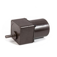 Moteurs électriques à couple élevé, petit engrenage Ac 220V