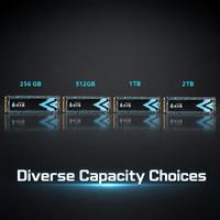 Lot en gros de disques SSD internes M.2 2280 NVMe PCIe 3.0 de 1 To et 2 To pour les intégrateurs de systèmes