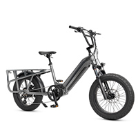 750 Watt Moteur Fat Tire Cargo E-bike Fat Tire Step Through E Bike Vélo électrique de ville