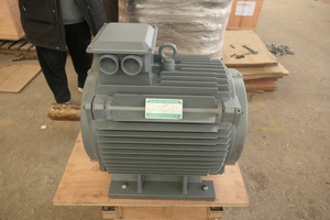 Alternador PM de 600 RPM, 15 kW, 400V, 50HZ, Generador Hidroeléctrico de Bajo Consumo Magnético YGDL, Generador de Imán Permanente de Bajo RPM - Product Image 6