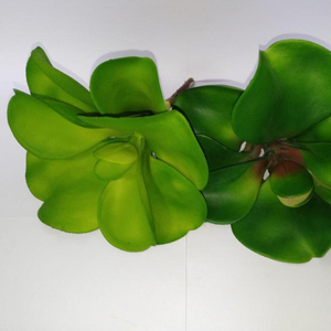 decorativo interesante de gran tamaño <span class=keywords><strong>rosa</strong></span> del desierto artificial plantas suculentas unpotted para Navidad decoración - Product Image 4