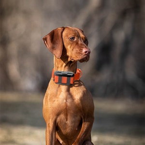 Nouveau traceur GPS pour chien de chasse, traceur GPS étanche pour animaux de compagnie, collier de suivi GPS pour chiens de chasse, traceur GPS mini pour chasseurs - Product Image 3