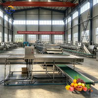 Voedselveilige 304 roestvrijstalen fruitwasmachine met belletjesreiniging voor de landbouwfruitverwerking