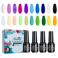 Kit de gel UV de haute qualité IMTITI pour apprenant, ensemble OEM de 60 couleurs, accessoires pour ongles, 2 ans, 10 ml, gel pour ongles, vernis gel