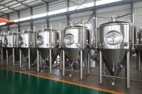 Cuve de Fermentation Conique de 1000L pour l'Équipement de Brasserie