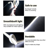 Bande lumineuse LED COB de personnalisation de haute qualité IP65 étanche Ultra luminosité 8 W/M 50000 heures de durée de vie Flexible extérieur