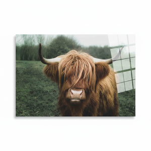 KayraHome - Impresión en Lienzo Art Deco de Vaca Highland, Arte Moderno para Colgar en la Pared con Vidrio Templado Transparente, para Cumpleaños - Product Image 2