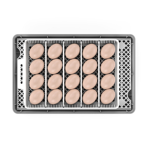 Livraison gratuite Nouvelle mini incubatrice à œufs pour 20 poussins <span class=keywords><strong>Machine</strong></span> d'éclosion automatique - Product Image 6