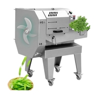 Commerciële groente- en fruitsnijmachine, automatische groente- en fruitsnijder/snijmachine voor groenten en fruit