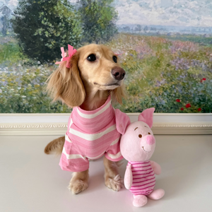 가볍고 편안하며 신축성 있는 스프링 애완동물 드레스 의류 고급 명품 애완동물 디자이너 의류 - Product Image 1
