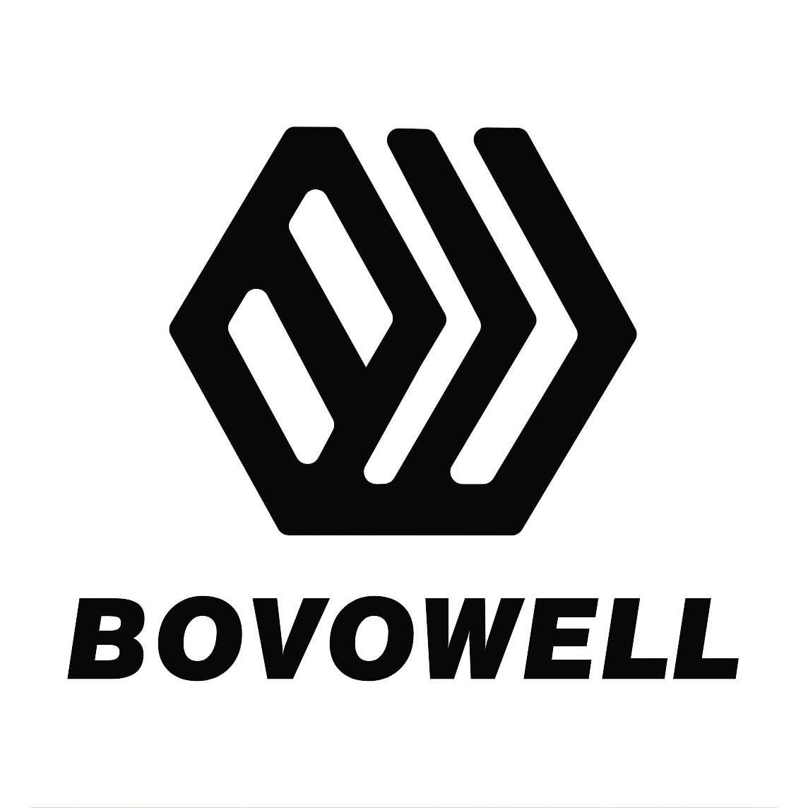 Yiwu Bovowell Import & Export Co., Ltd. logo