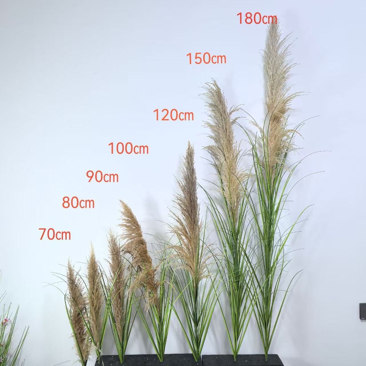 หัวสีเทาพร้อมใบไม้สีเขียว