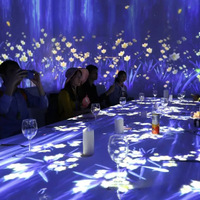 Proyektor LED interaktif holografik 3D mata telanjang mendalam dinding Android 11 5D untuk restoran ruang perjamuan pusat perbelanjaan