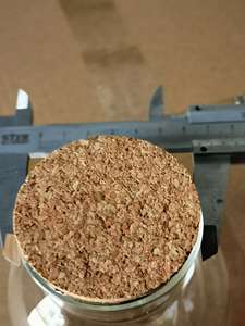 Terrarium en verre - Product Image 4