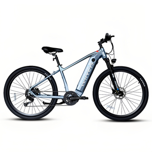 Factory Direct 29'' Mountain 9 <b>Speed</b> 250W 36V 20Ah Lithium Battery City E-bike for Adults EU001 Ebikes for Adults Ele - Product Image 2