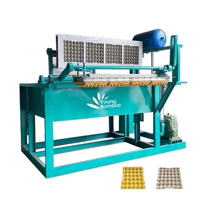 Young Bamboo waste paper pulp cheap mini egg tray making machine price in pakistan with egg tray packing machine