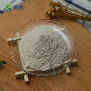 Food Grade TG-N TG-M Enzima Enzym Powder Enzyme Transglutaminase for Dairy Meat