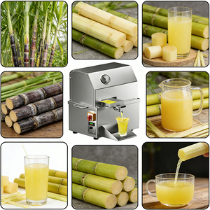 Spremiagrumi a Doppia Piastra Regolabile per Canna da Zucchero per l'Etiopia - Adatto a Varietà Locali di Canna Sottile e Spessa, Massimizza il Profitto - Product Image 2