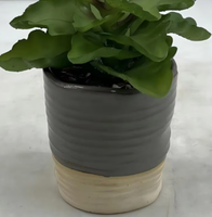 Petite plante succulente artificielle, écologique, résistante aux UV, plante en pot pour bureau, décoration de bureau à domicile, lot de plusieurs pièces