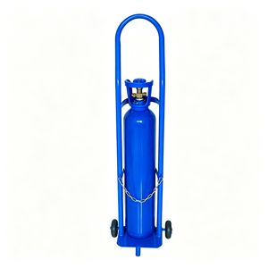 1. Chariot à roulettes en acier inoxydable de qualité médicale pour bouteille de gaz/oxygène avec roulettes silencieuses pour hôpital et clinique - Product Image 1