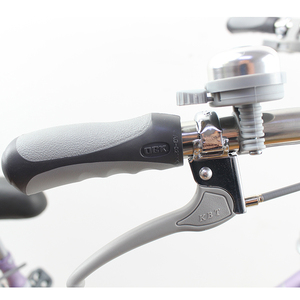 Vélo de ville <span class=keywords><strong>pour</strong></span> femmes avec cadre et fourche en acier de 22 à 24 pouces, vente de vélos <span class=keywords><strong>pour</strong></span> adultes, vélo à une vitesse <span class=keywords><strong>pour</strong></span> femmes - Product Image 2