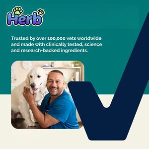 Compléments alimentaires naturels anti-démangeaisons à croquer pour chiens et chats, marque privée OEM/ODM, soutien allergique, santé immunitaire, peau et pelage, absorption rapide - Product Image 4