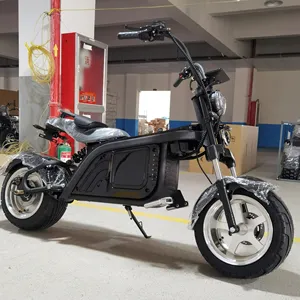 Citycoco — Scooter électrique à 2 roues à auto-équilibrage, pouces