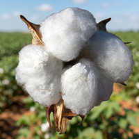 Bales de coton brut biologique - Matériau de rembourrage 320 écologique, antibactérien, respirant et haute résistance, prêt pour le marché international