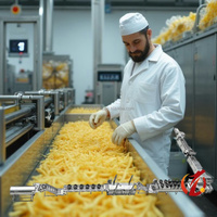 Qiangda 300kg/uur Nieuwe RVS 304 Volledig Automatische Multifunctionele Aardappelchipslijn Aanpasbare Capaciteit Elektrische/Gasverwarming