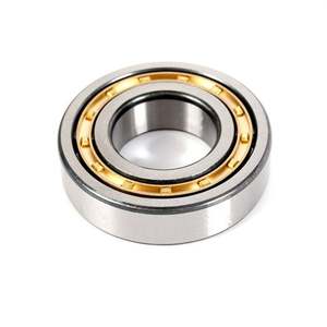 2305 Roulements à rouleaux cylindriques NJ2304 2306 2307 2308 2309 2310 2311EM NJ 2326 Roulement EM/C4 - Product Image 5