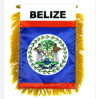 Drapeau Belize drapeau suspendu petit Mini drapeaux de voiture bannières rétroviseur décoration avec ventouse bannière à franges dorées