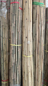 Piquets en bambou robustes pour l'agriculture, bâtons de soutien en bambou naturel pour pépinières et fermes - Product Image 3