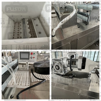 Nouvelle machine automatique FSD en acier inoxydable pour la fabrication de gâteaux de riz et de chips d'arachides pour les snacks