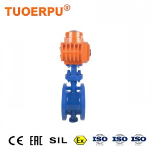Joint d'étanchéité rigide de précision Tuoerpu, résistant à la chaleur, pour l'industrie pétrochimique, PN16/150lb DN50-600, pour l'industrie pétrolière et gazière - Product Image 1