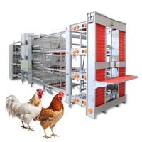 Vente Chaude Cage Automatisée pour Poules Pondeuses Équipement d'Élevage Avicole Batterie de Cages pour Ferme Avicole